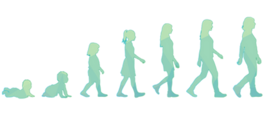 Human lifecycle illustration